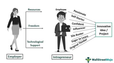 extrapreneur|intrapreneurship meaning.